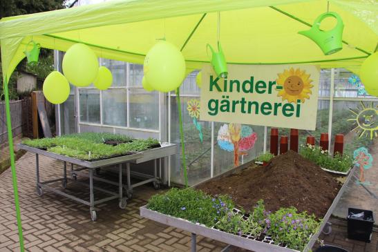 auch die Kinder konnten pflanzen