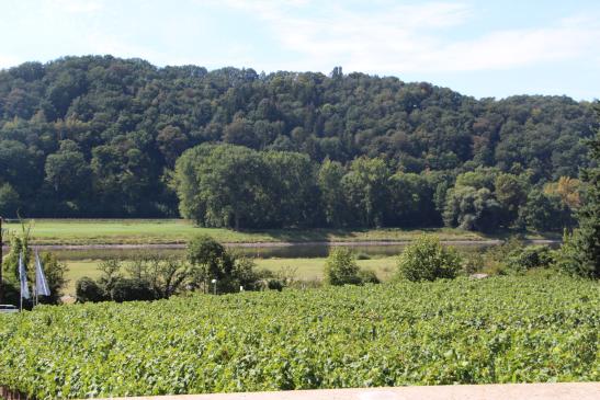 Blick zur Elbe hin von der gemütlichen Terrasse, die zum Verweilen einlädt